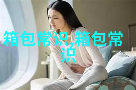 探索优雅与实用Voyager女包的魅力与选择指南
