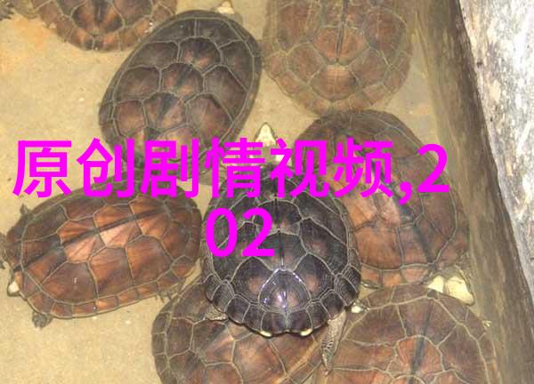 马伊琍的三宅一生手袋是不是潮爆表了