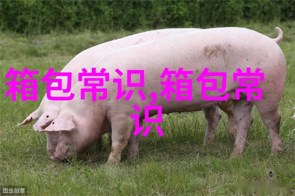 探索Ginaro女包的魅力时尚与实用的完美结合