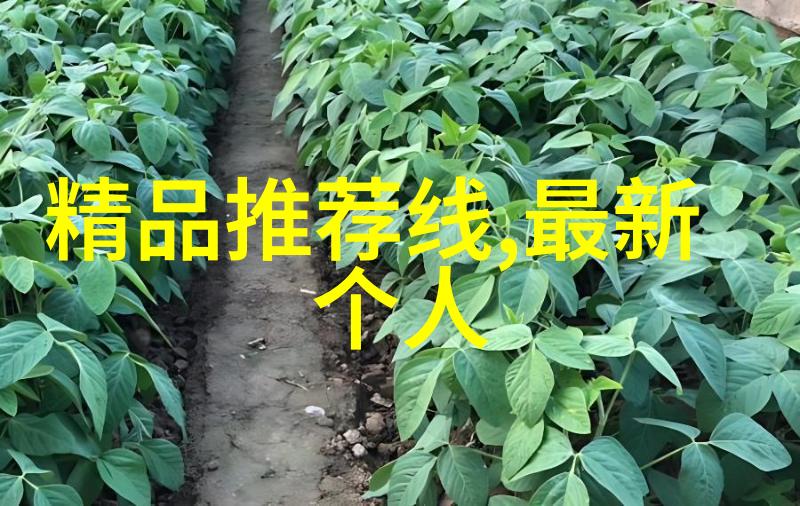 瑞士梅花手表