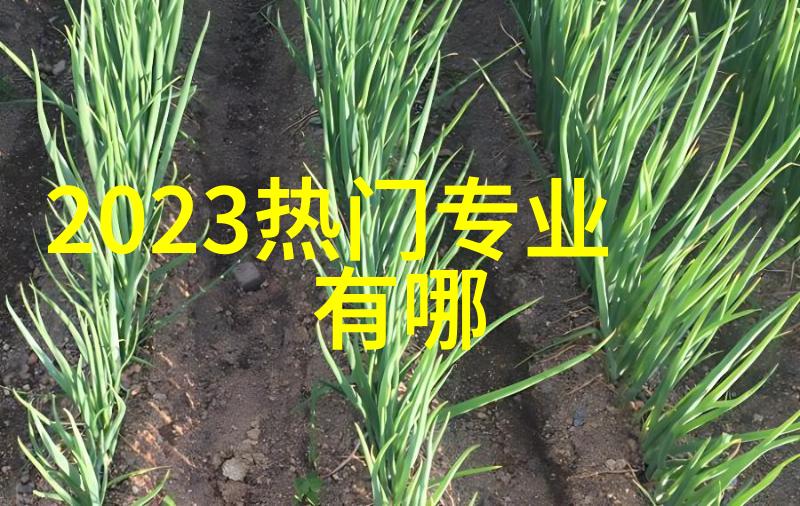 民族风的长裙搭配什么鞋子